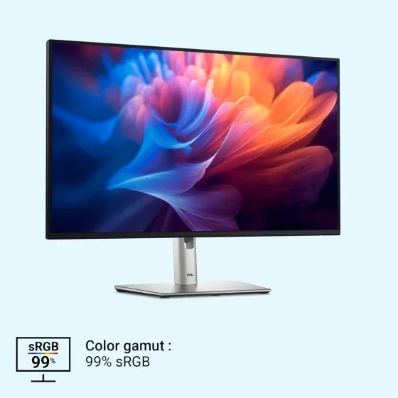 Dell Monitor P2725H